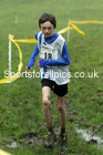 Boys under-13s, NECAA Junior Cross Country Relays, Thornley Farm, Peterlee, Saturday, December 12th. Photo: David T. Hewitson/Sports for All Pics